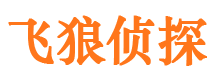 平陆市婚姻调查